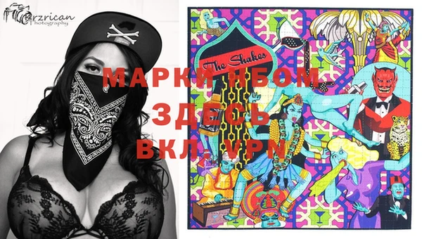 индика Кодинск